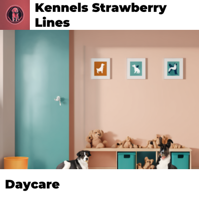 Daycare