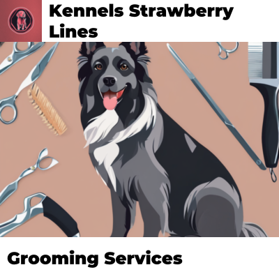 Grooming Services